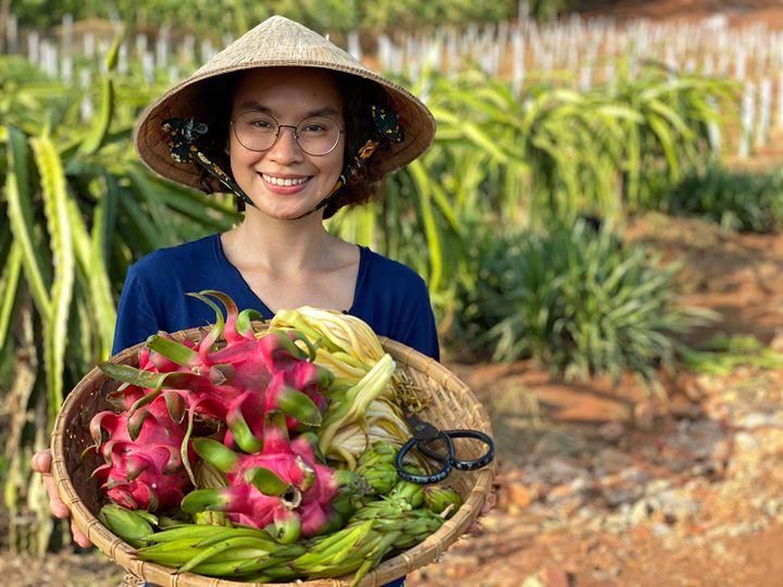 Việt Nam đẩy mạnh xuất khẩu các thành phẩm từ hoa thanh long